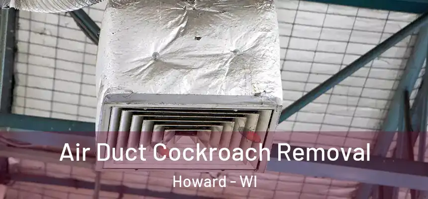Air Duct Cockroach Removal Howard - WI