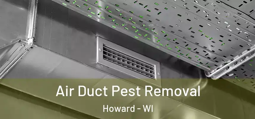  Air Duct Pest Removal Howard - WI