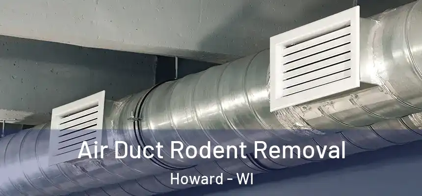  Air Duct Rodent Removal Howard - WI