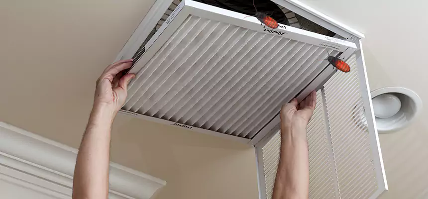 Preventive Cockroach-Proofing for Ducts in Howard