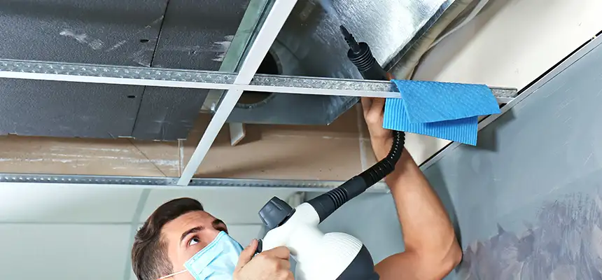 Our Air Duct Rodent Removal Services in Howard, WI