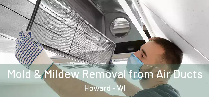  Mold & Mildew Removal from Air Ducts Howard - WI
