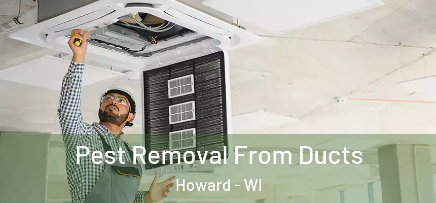 Pest Removal From Ducts Howard - WI