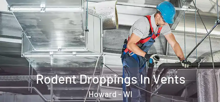  Rodent Droppings In Vents Howard - WI