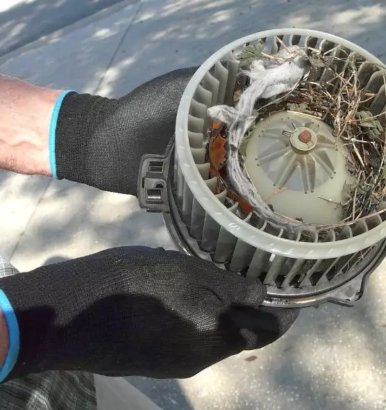 About Air Duct Mice Removal in Howard, WI