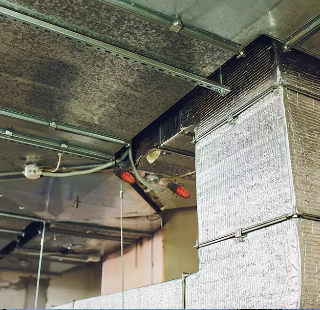 Why Homeowners & Businesses Trust Us in Howard, WI?